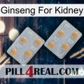 Ginseng For Kidney 25